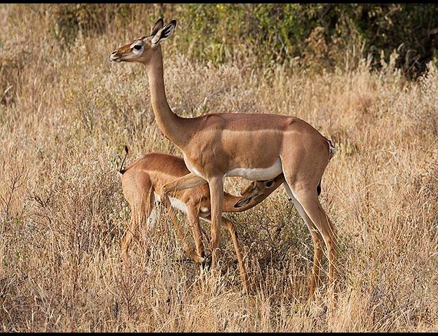 LAND FOR SALE IN VAAL MARINA